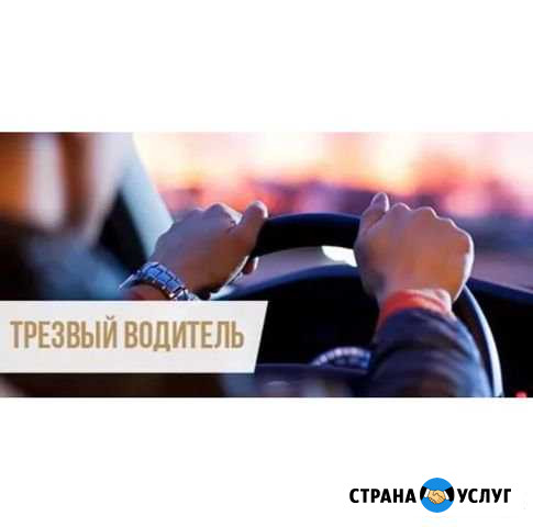 Трезвый водитель Копейск - изображение 1