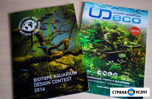 Студия аквариумного дизайна Aquasad Новосибирск - изображение 1