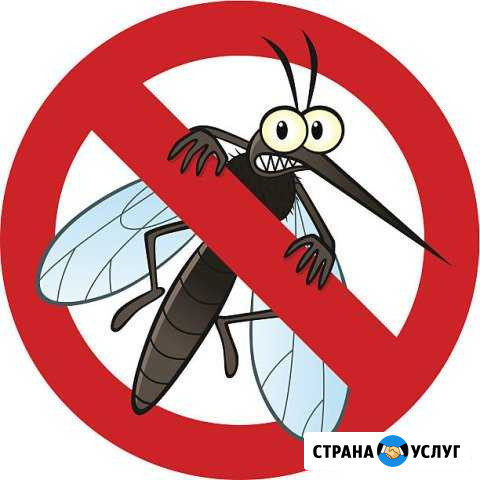 Москитные сетки Шебекино - изображение 1