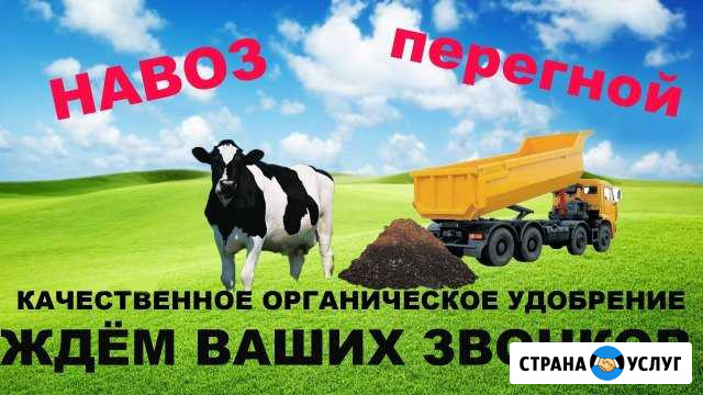 Коровий навоз (фасовка / доставка) Подпорожье - изображение 1