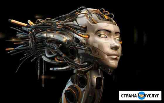 Создание сайтов / настройка SEO / Яндекс,Google Химки