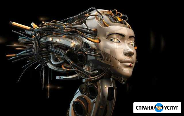 Создание сайтов / настройка SEO / Яндекс,Google Химки - изображение 1