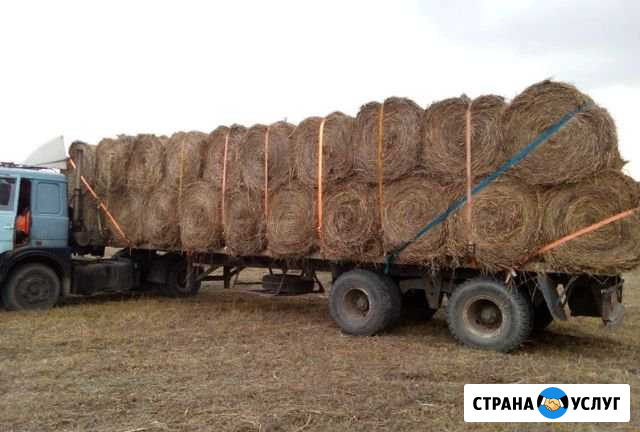 Услуги перевозок самосвал манипулятор длинномер Москва - изображение 1