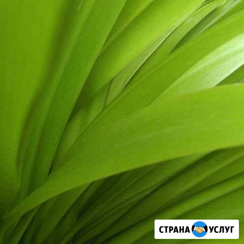 Ремонт газовых колонок бойлеров котлов титанов Евпатория - изображение 1