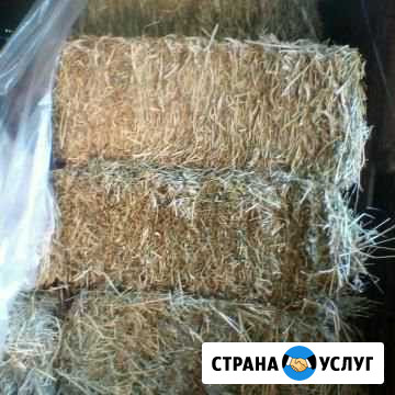 Солома тюкованная Кинель-Черкассы - изображение 1
