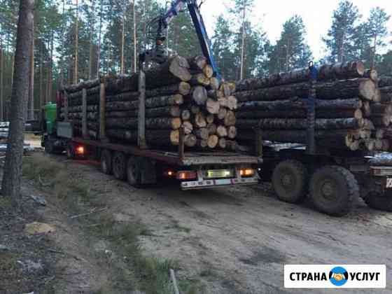 Перевозка Леса Западная Двина