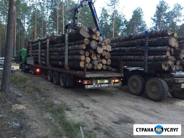 Перевозка Леса Западная Двина - изображение 1