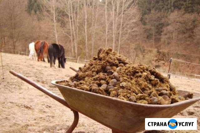 Доставка навоза в мешках Выкса - изображение 1