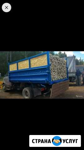 Продам дрова Пожва - изображение 1