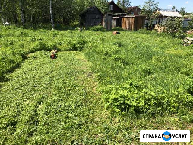 Покос травы Отрадное - изображение 1