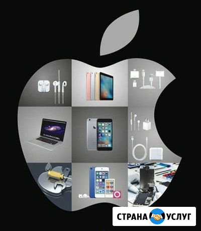 Ремонт техники Apple Калининград - изображение 1