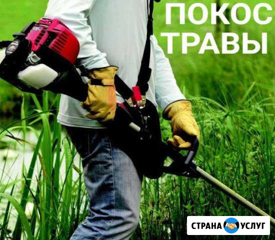 Покос травы Хадыженск - изображение 1