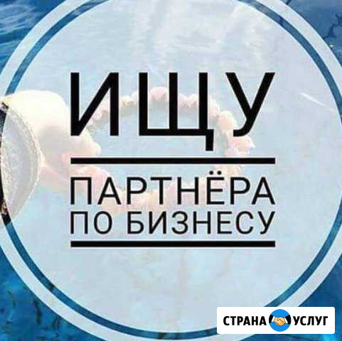 Ищу партнера Туризм Анапа - изображение 1