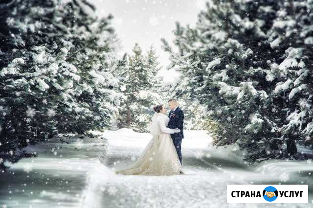 Фотограф и видеограф Владимир - изображение 1