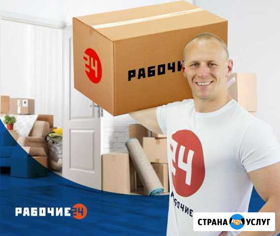 Переезд/грузчики Новосибирск - изображение 1