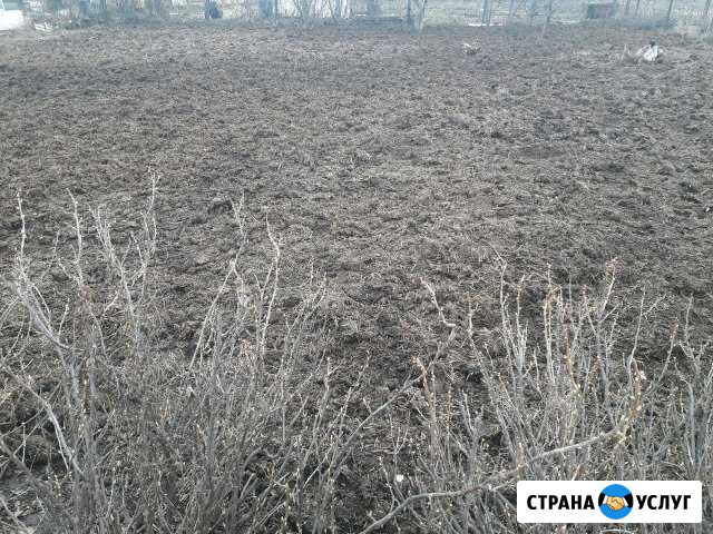 Навоз Высокая Гора - изображение 1