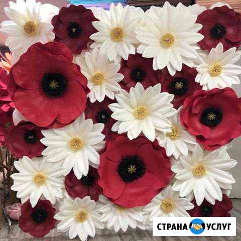 Фотозоны на любые мероприятия. Оформление витрин Нижний Новгород