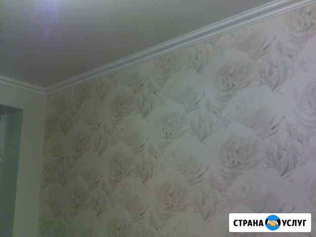Обои,шпаклевка Нижнекамск - изображение 1