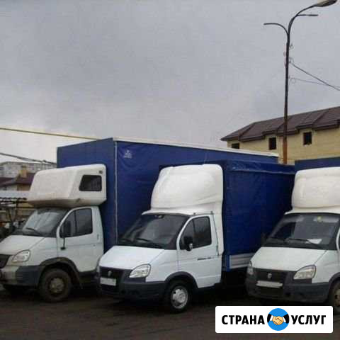 Вывоз мусора Реутов - изображение 1
