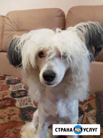 Вязка Иркутск - изображение 1