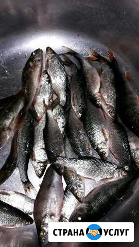 Продукты питания Северодвинск - изображение 1