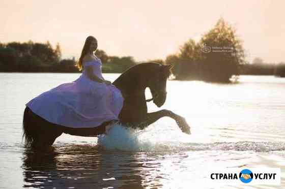 Прогулки верхом, фотосессии, занятия на лошадях Санкт-Петербург