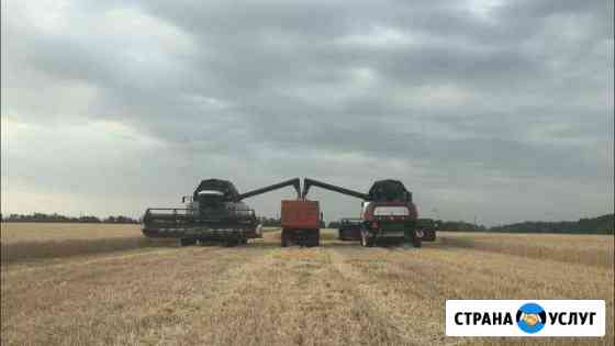 Уборка урожая. Услуги комбайнов. Транспортировка Ставрополь