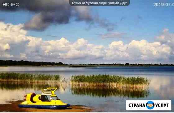 Отдых, рыбалка и грибы осенью на Чудском озере Санкт-Петербург