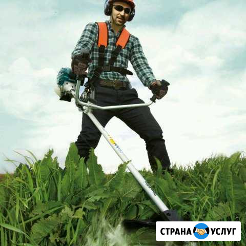 Покос травы Белогорск - изображение 1