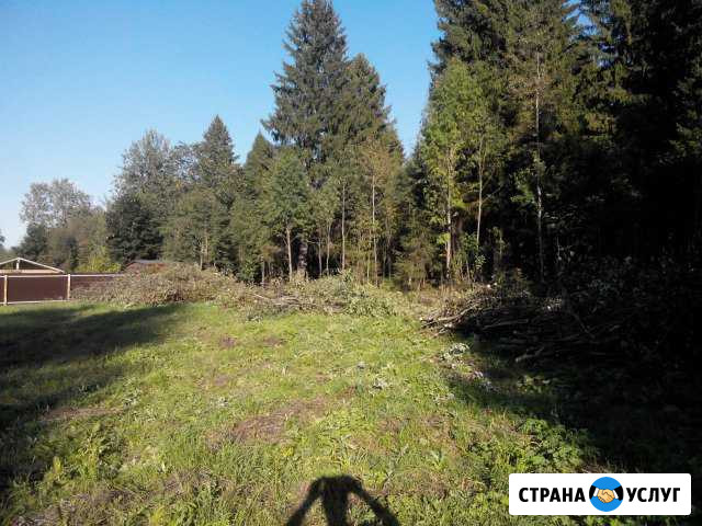 Вырубка деревьев кустов Покос травы Клин - изображение 1