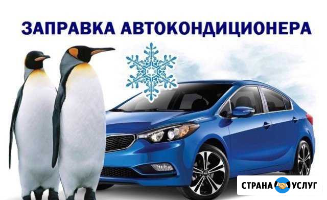 Заправка и дезинфекция автокондиционеров Ногинск - изображение 1