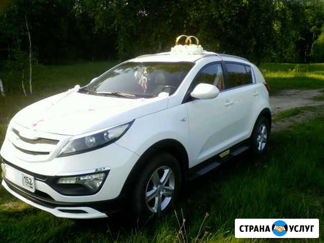 Услуги Богородск - изображение 1