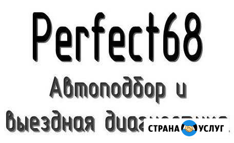 Подбор автомобилей с пробегом Perfect 68 Тамбов Сатинка - изображение 1