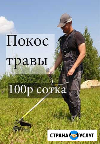 Покос травы.Вырубка кустарника.Спил деревьев Смоленск - изображение 1