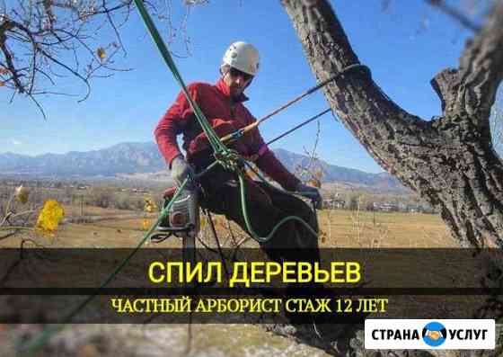 Спил Деревьев. Валка деревьев Самара
