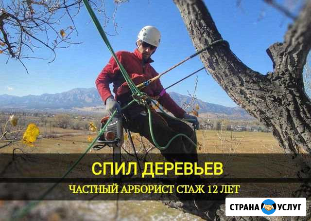 Спил Деревьев. Валка деревьев Самара - изображение 1