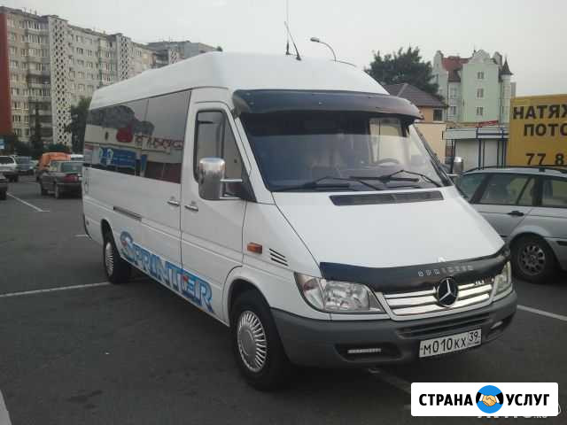Пассажирские перевозки в Европу Калининград - изображение 1