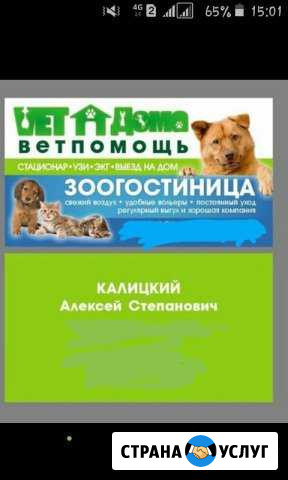 Ветеринарная помощь Посёлок северный(проспект Анат Курск - изображение 1