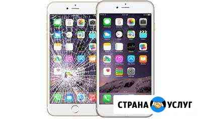 Ремонт iPhone с выездом Мытищи