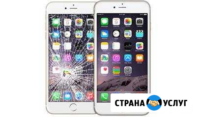 Ремонт iPhone с выездом Мытищи - изображение 1