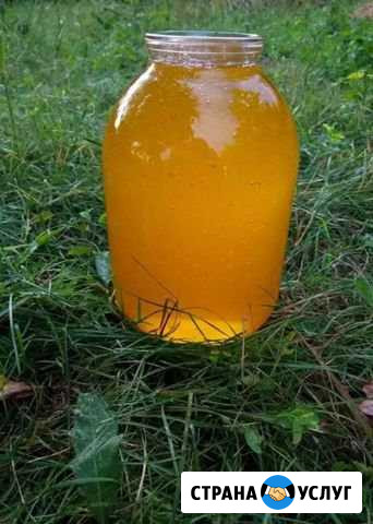 Продам мёд Болотное - изображение 1