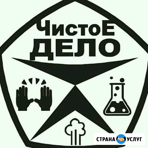 Химчистка мебели и салонов авто Омск - изображение 1