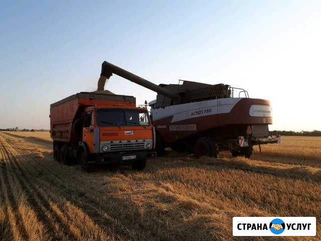 Услуги самосвалов на уборку урожая. Доставка сыпуч Ростов-на-Дону - изображение 1