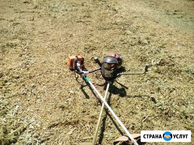 Покос травы,камыша,подлесок,поросль Средняя Ахтуба - изображение 1