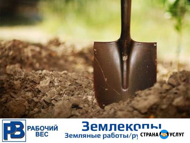 Землекопы Аксай - изображение 1