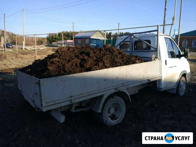 Доставка навоза (конский, коровий), перегноя, черн Тюмень - изображение 1