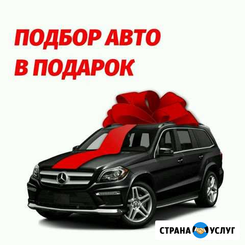Подбор и доставка авто в Магадан. Вся Россия Магадан - изображение 1