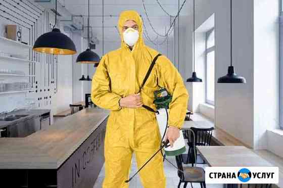 Уничтожение клопов,тараканов, клещей.Дезинфекция Королев
