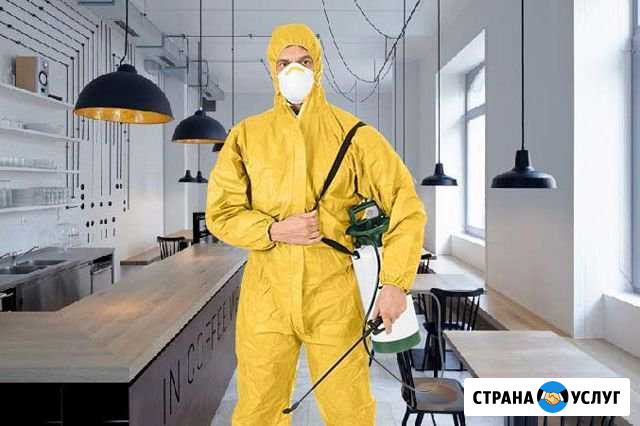 Уничтожение клопов,тараканов, клещей.Дезинфекция Королев - изображение 1
