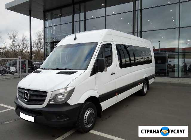 Аренда автобусы Мерседес 12-35 мест Пермь - изображение 1